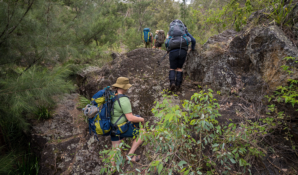 A group of walkers hike difficult, rocky ridges. Credit: David Waugh &copy; DCCEEW