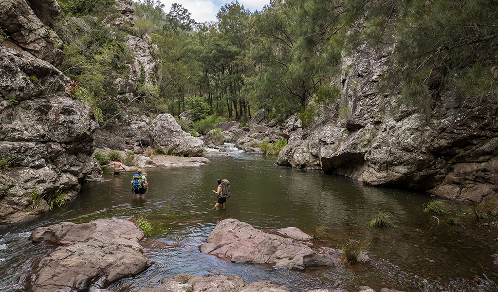 A group of walkers navigate a deep water crossing in a gorge. Credit: David Waugh &copy; DCCEEW
