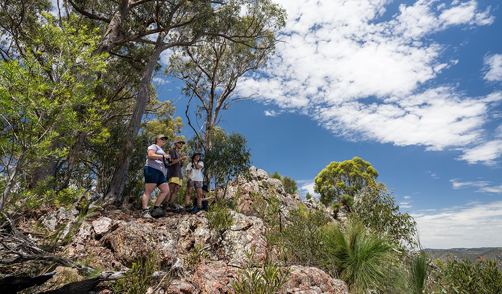 A group of walkers atop a high rocky ridge. Credit: David Waugh &copy; DCCEEW
