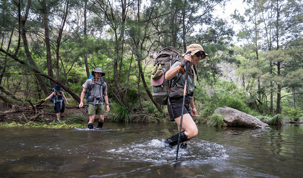 Hikers with walking poles, high boots, and large packs crossing a creek with knee-high water in bushland on The Green Gully Track. Credit: David Waugh &copy; DCCEEW