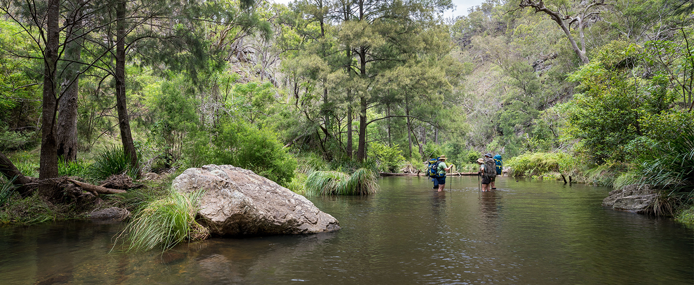 2 people carrying overnight backpacks wading in a stream along The Green Gully track surrounded by the bush in Oxley Wild Rivers National Park. &copy; DCCEEW