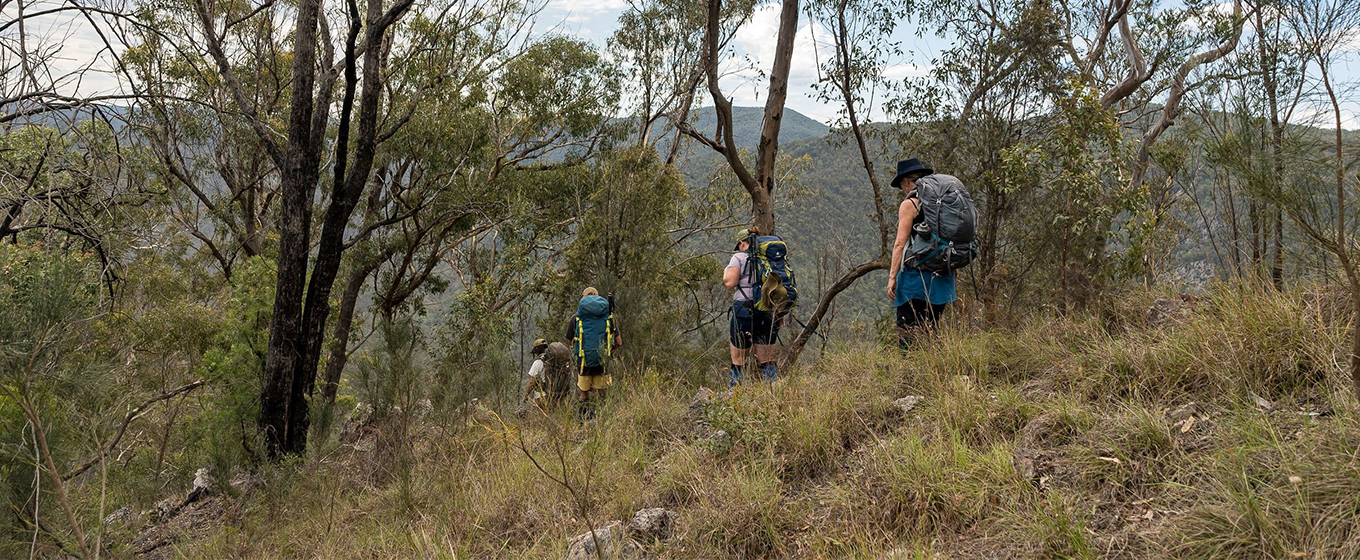 A group of multi-day walkers carrying overnight backpacks descending into a valley along the Green Gully Track. &copy; DCCEEW