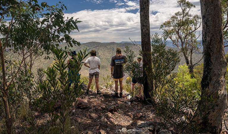 Four hikers enjoying expansive views on The Green Gully Track. Credit: David Waugh &copy; DCCEEW