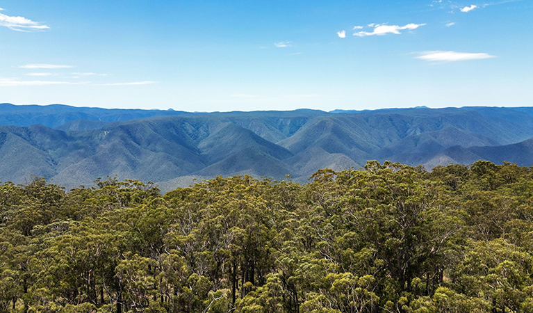 Expansive views from a ridge top on The Green Gully Track looking out over endless blue ridges on Thungutti Country. Credit: David Waugh &copy; DCCEEW