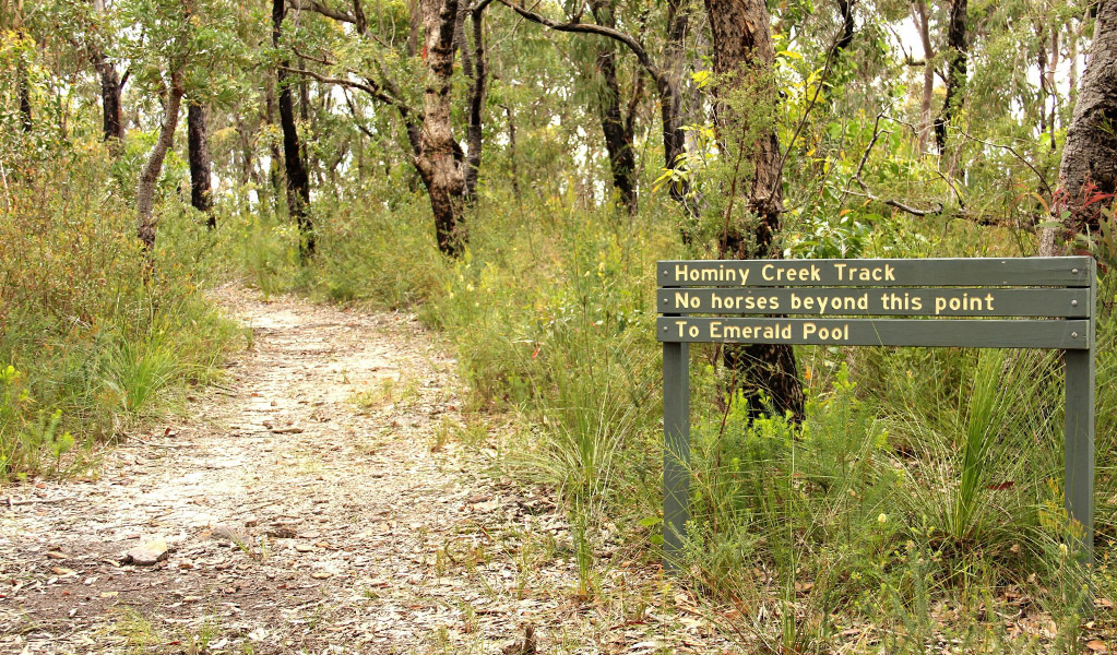 A sign next to Hominy Creek walking track surrounded by majestic eucalypts. Photo: John Yurasek &copy; OEH