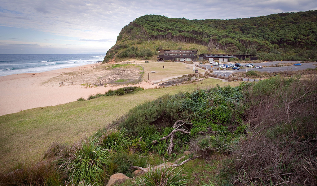 Garie Beach picnic area surrounded by Royal National Park bushland. Credit: Nick Cubbin / DCCEEW &copy; OEH