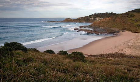 View of North Era Beach in Royal National Park. Credit: Nick Cubbin &copy; DCCEEW