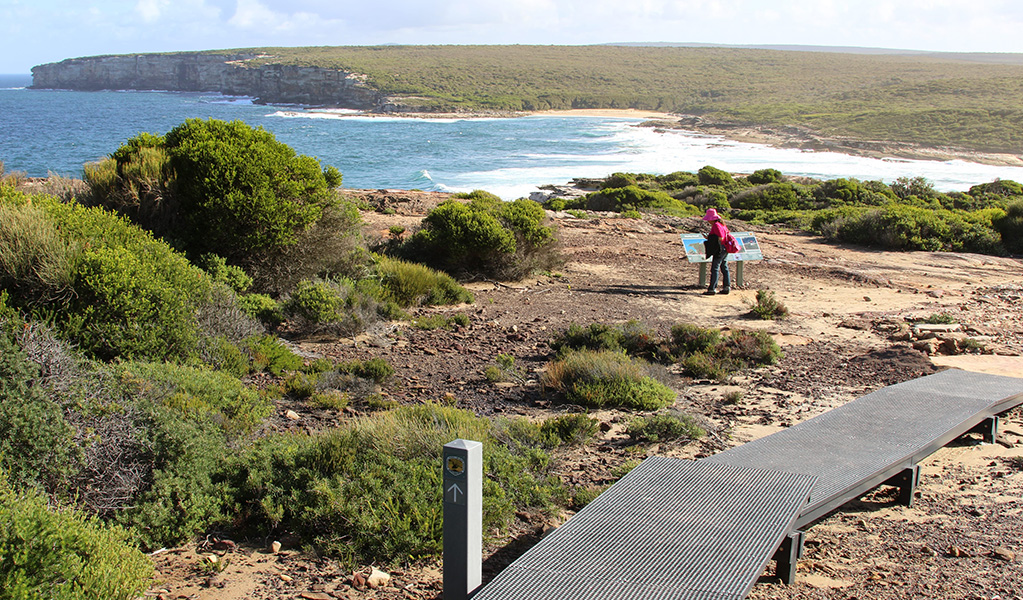A bushwalker reading and interpretive sign along The Coast Track with Royal National Park and its coastline in the background. Credit: David Croft / DCCEEW &copy; OEH
