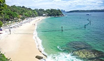Nielsen Park and shark beach in Sydney Harbour National Park. Credit: Kevin McGrath © DCCEEW