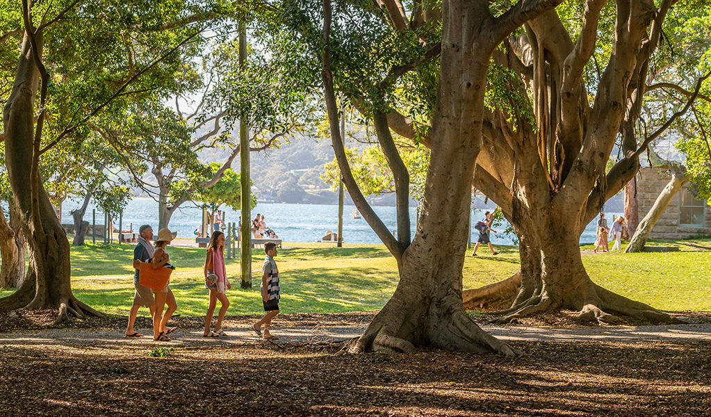Family walking beneath huge trees in the picnic area with tranquil harbour views in the background at Nielsen Park in Vaucluse. Credit: John Spencer © DCCEEW