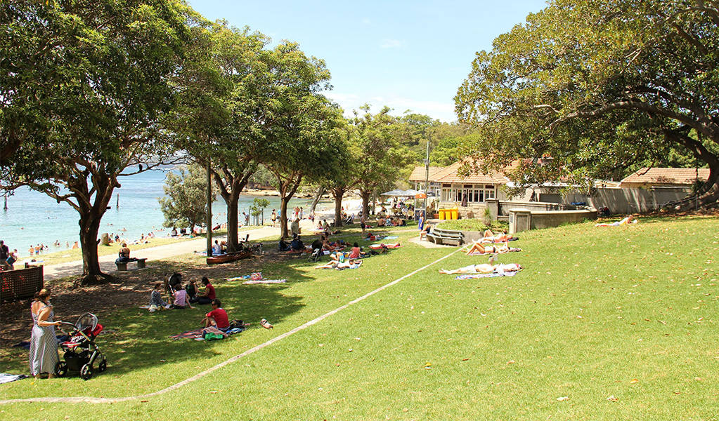 People relaxing at Nielsen park on open grassy areas and in the shade of large trees next to Shark beach in Vaucluse. Credit: John Spencer © DCCEEW