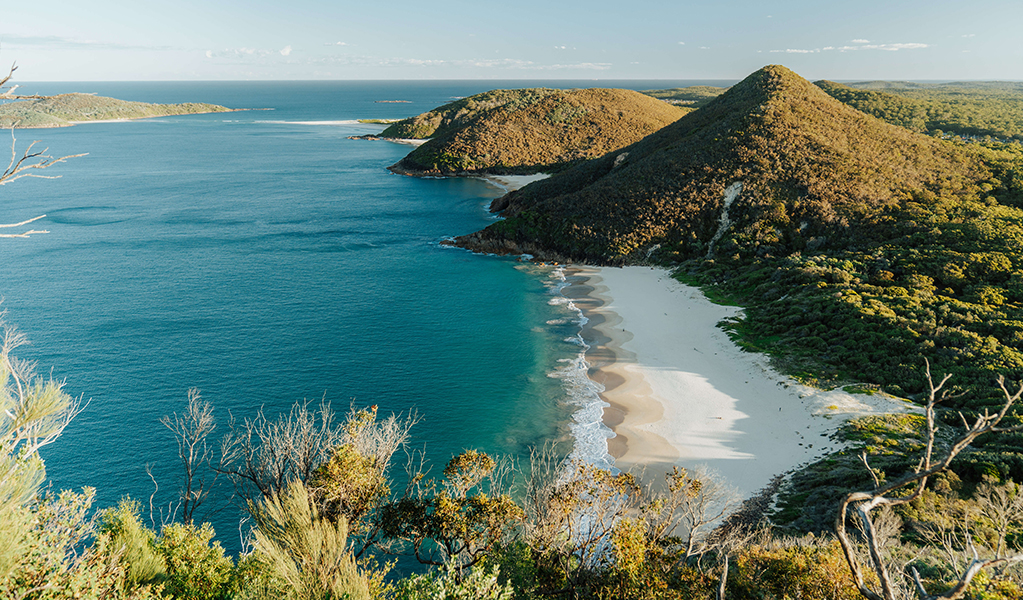 Enjoy 360 degree coastal views for miles from the lookout at Tomeree Head Summit. Credit: Remy Brand &copy; Remy Brand