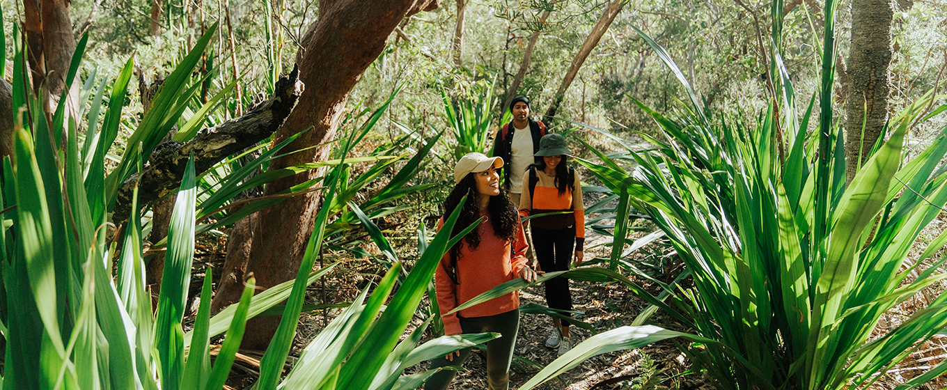 Walkers on a path surrounded by gymea lilies and angophora forest.  Credit: Remy Brand &copy; Remy Brand