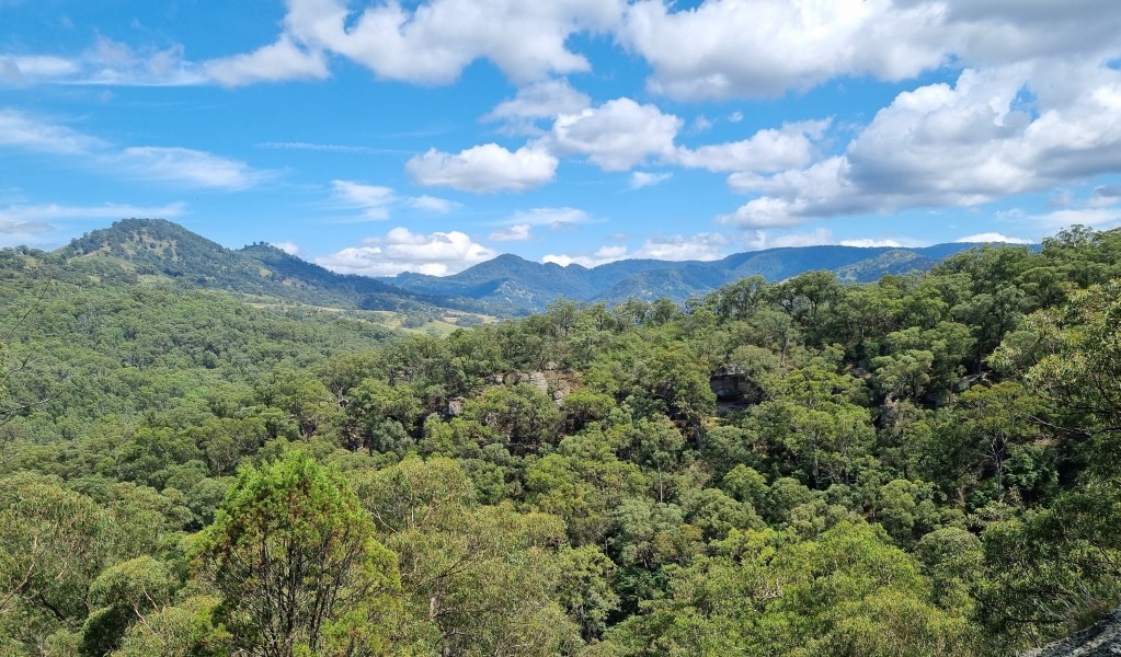View of the Liverpool Range from the lookout point at the end of Range View track in Towarri National Park. Photo: Scott Monro &copy; DCCEEW