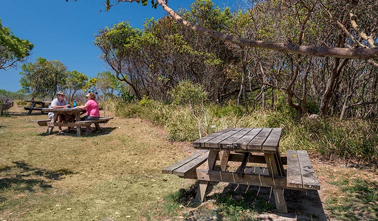 Tyagarah Nature Reserve picnic area, Tyagarah Nature Reserve. Credit: David Young/DCCEEW &copy; David Young