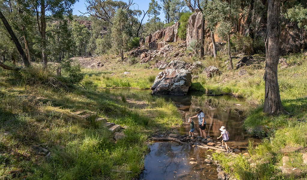 Crossing a creek along Wambelong Nature walking track. Credit: John Spencer &copy; DCCEEW