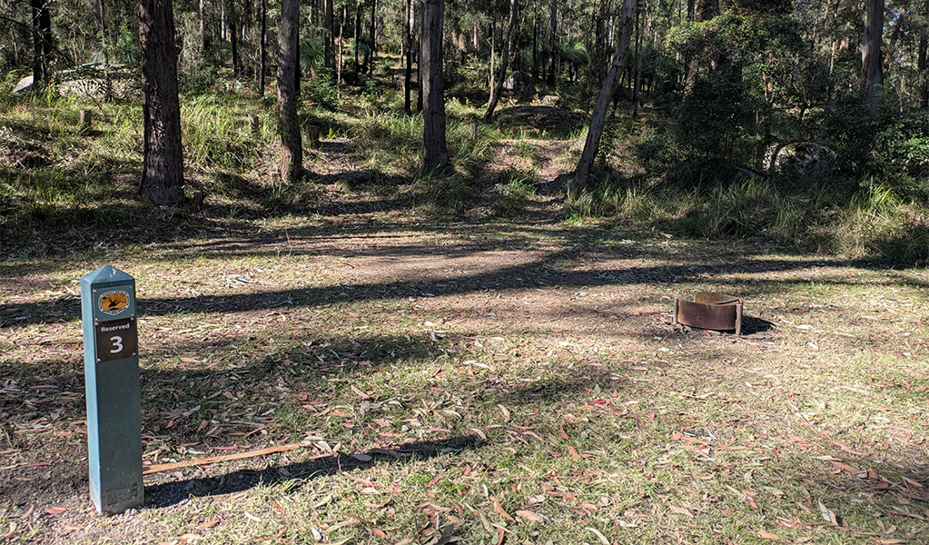 Site number 3 at Bangalow campground. Photo: Elise McCarthy &copy; DCCEEW