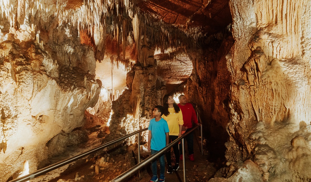 A young boy and his parents look up the wonders of Mulwaree Cave while on a guided cave tour. Credit: Remy Brand/DPE &copy; Remy Brand