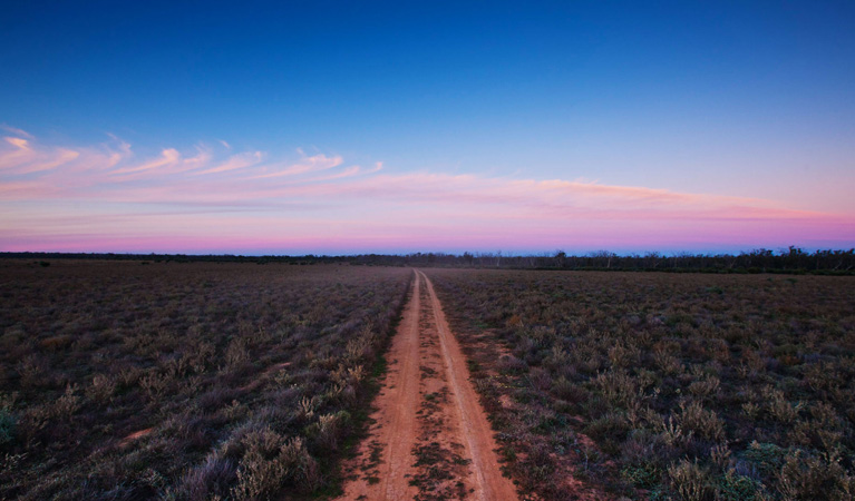 A dirt track among scrubland at sunset in Yanga National Park. Credit: David Finnegan &copy; DPIE