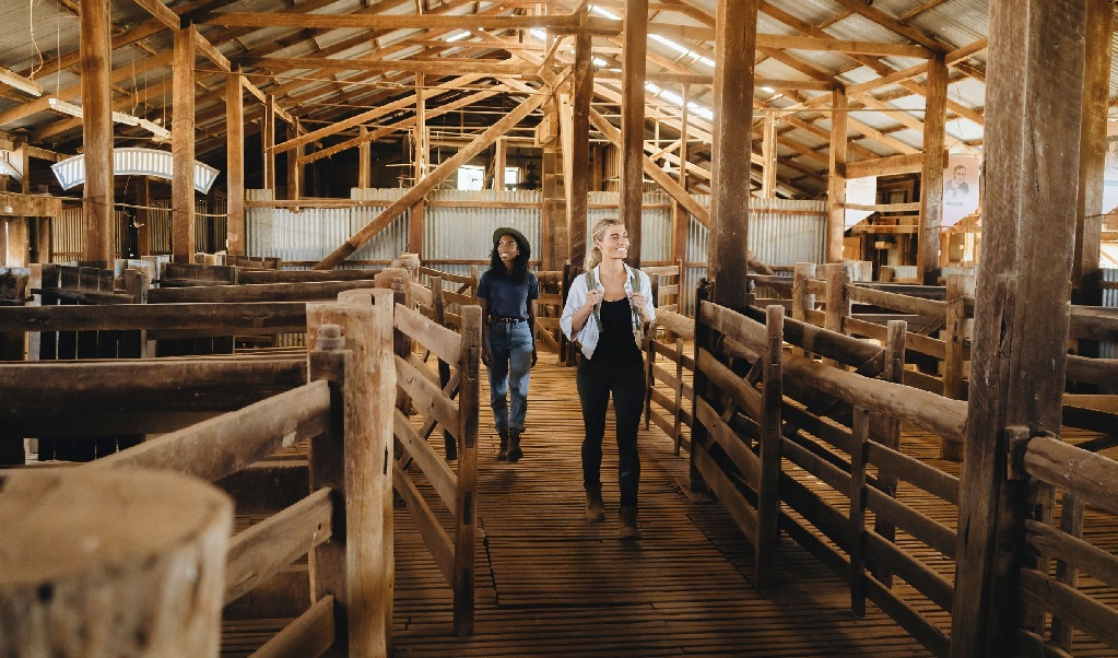 Two people exploring inside the historic Yanga Woolshed in Yanga National Park. Credit: Ain Raadik &copy; DCCEEW/Balranald Shire