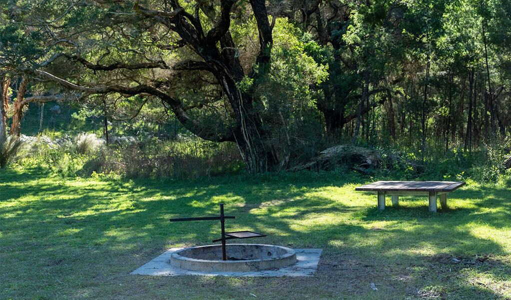 Fire pit and seating platform at Blue Gums campground in Yengo National Park. Credit: Allan Chawner &copy; DCCEEW
