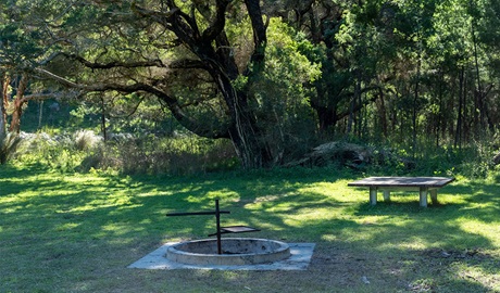 Fire pit and seating platform at Blue Gums campground in Yengo National Park. Credit: Allan Chawner &copy; DCCEEW