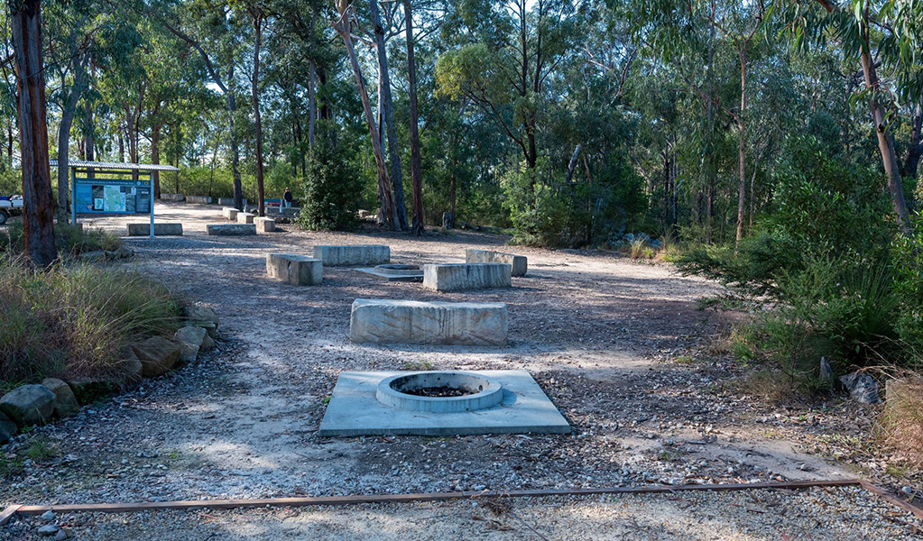 Concrete firepits with seating at Finchley campground in Yengo National Park. Credit: Allan Chawner &copy; DCCEEW