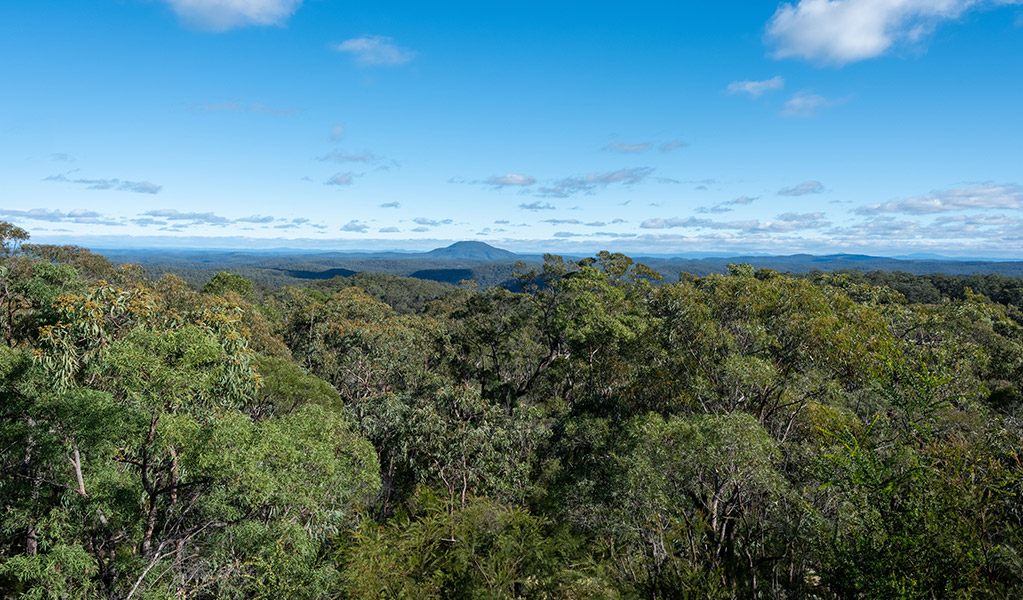 The view from Finchley lookout. Credit: Allan Chawner <HTML>&copy; DCCEEW