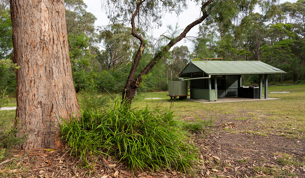 View of the camp kitchen at Mogo campground. Photo: Allan Chawner &copy; DCCEEW