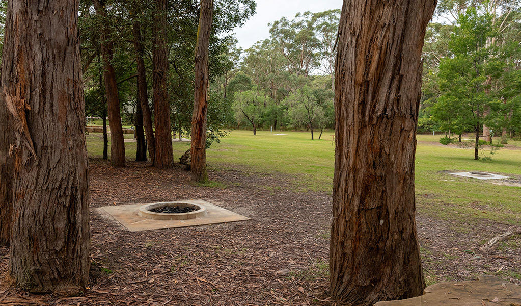 View of campsites through the trees, Mogo campground. Photo: Allan Chawner &copy; DCCEEW