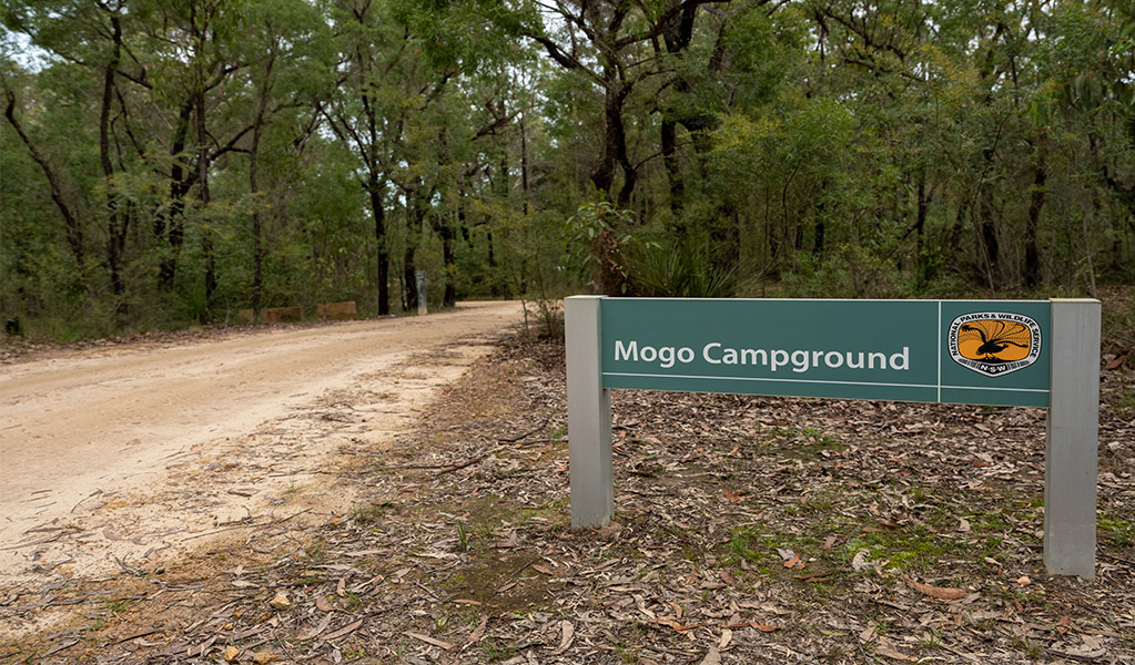 Park sign at the entry to Mogo campground. Photo: Allan Chawner &copy; DCCEEW
