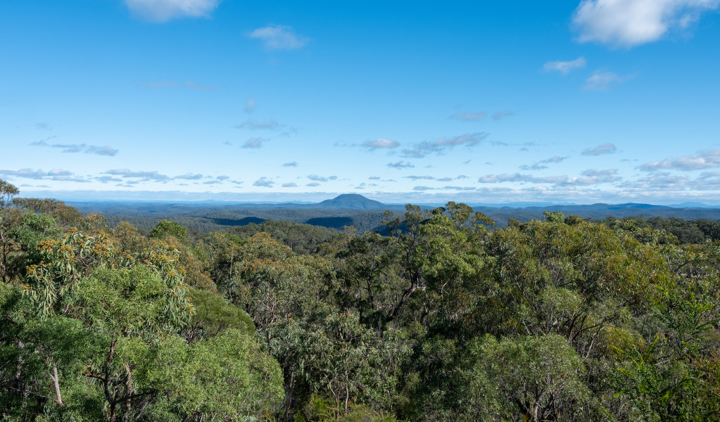 A view of Mount Yengo from Finchley lookout in Yengo National Park. Credit: Allan Chawner &copy; DCCEEW