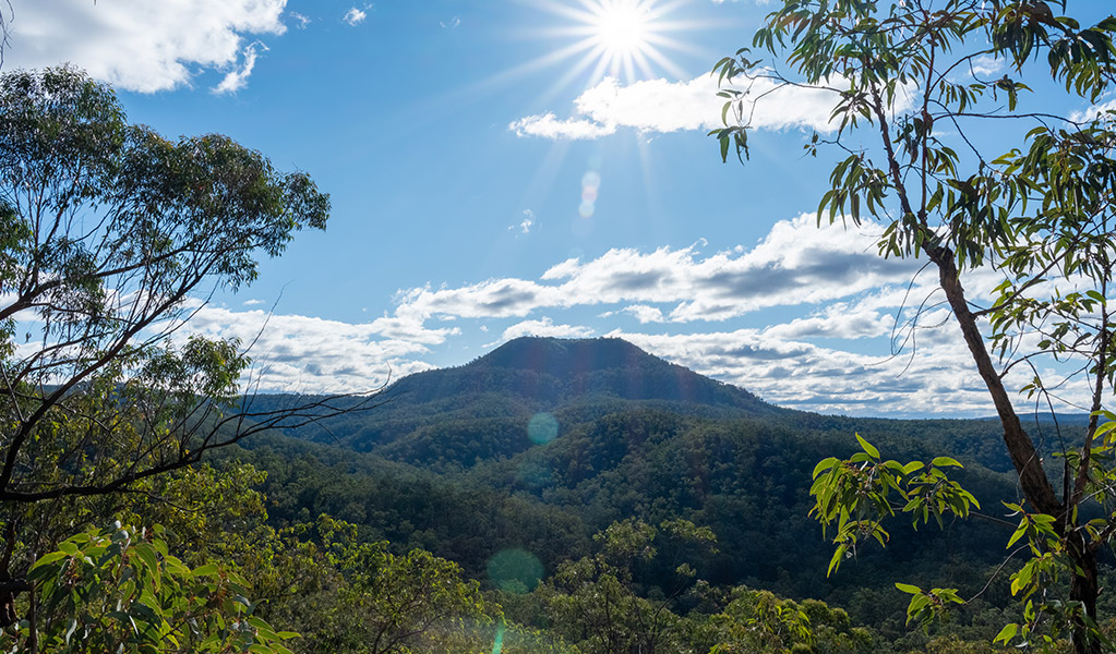 A view of Mount Yengo through the trees along Big Yengo loop trail in Yengo National Park. Credit: Allan Chawner &copy; DCCEEW