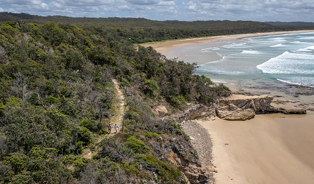 Bushwalking by the ocean on Angophora grove walking track. Credit: John Spencer &copy; DCCEEW