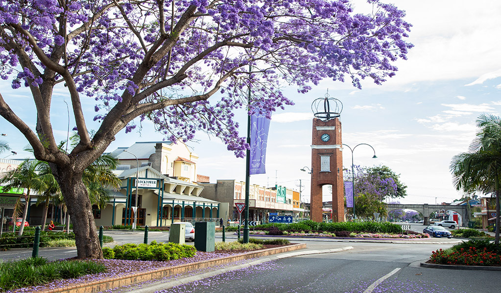 Jacaranda trees in full bloom in the town of Grafton. Credit: Destination NSW