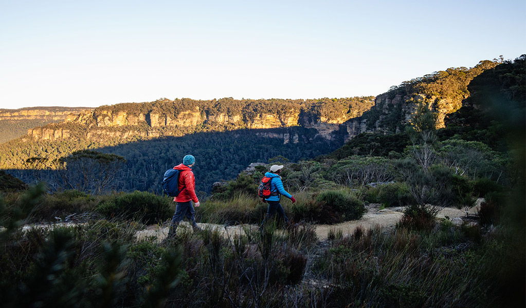 Walkers staying on the track, Grand Cliff Top Walk. Credit: Matt Horspool &copy; DCCEEW