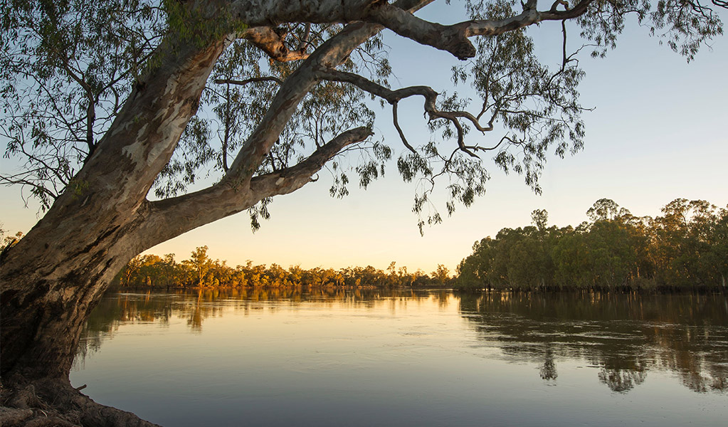 Sunset on the Murray River. Photo: John Spencer/DCCEEW