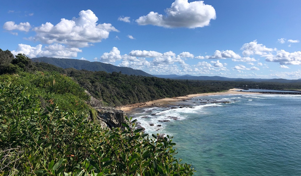 Washhouse Beach, Kattang Nature Reserve. Credit: Sue Proust/DCCEEW &copy; DCCEEW