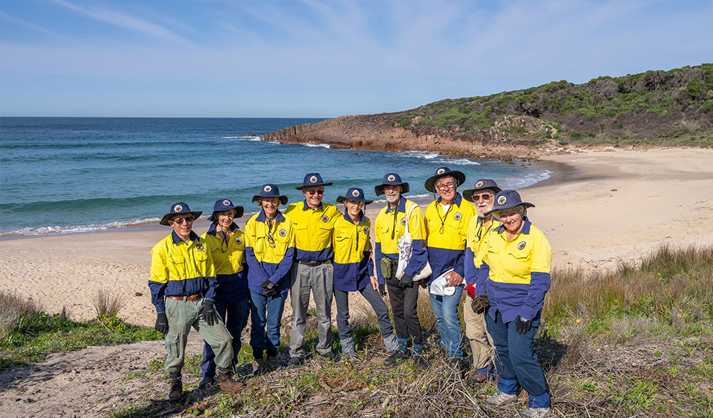 A group of bush regeneration volunteers standing in front of a beach in Tomaree National Park. Credit: John Spencer &copy; DCCEEW