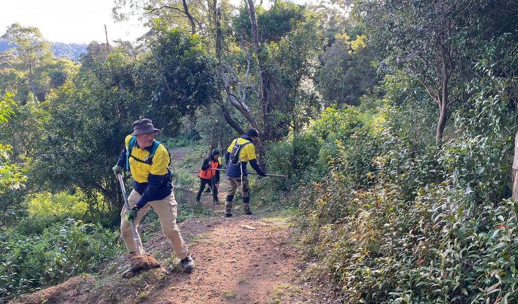 Volunteers working on the Kembla mountain bike trails, Illawarra State Conservation Area. Credit: Daisy Jenkins/DCCEEW &copy; DCCEEW