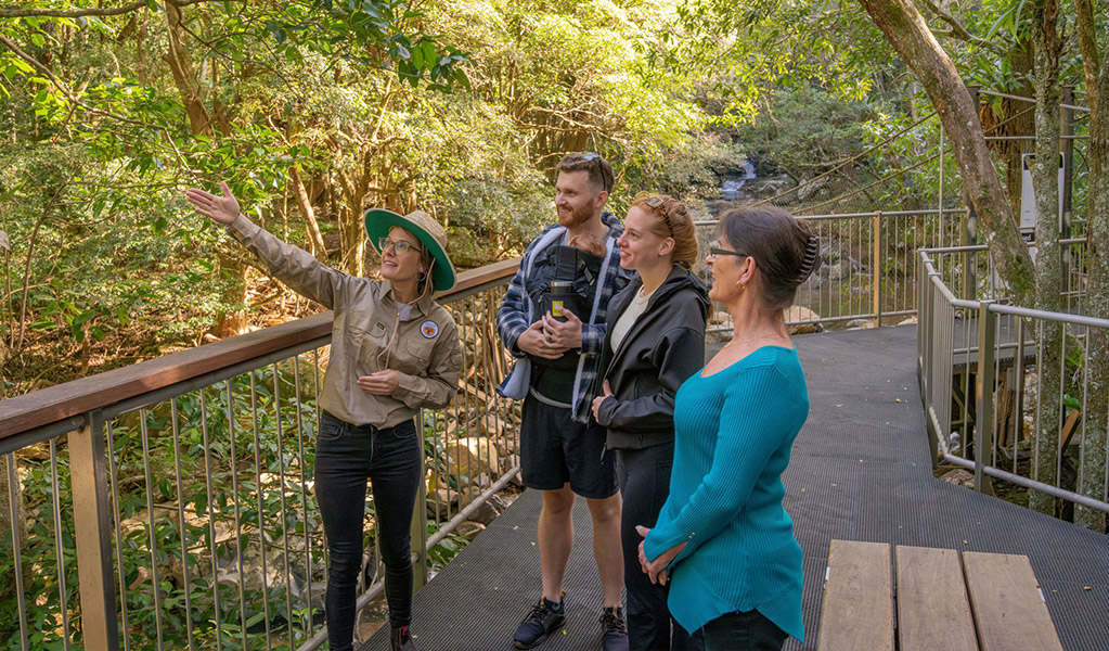 A volunteer guide pauses to talk to visitors about the rainforest ecosytem in Minnamurra Rainforest, Budderoo National Park. Credit: John Spencer/DCCEEW &copy; DCCEEW