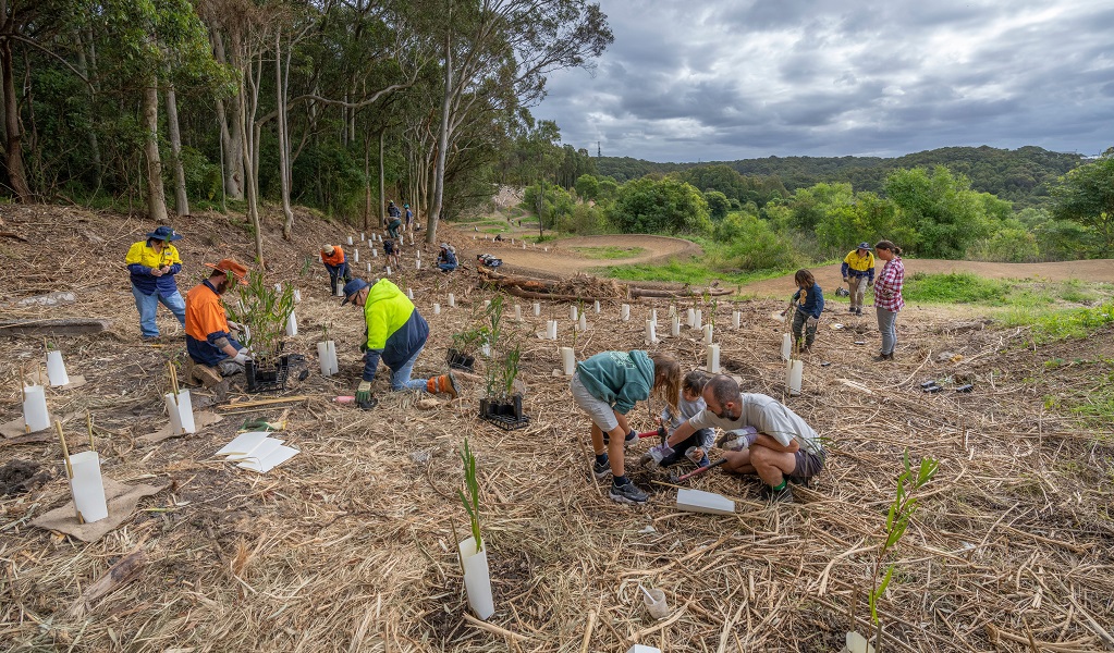 Volunteers planting new trees in Glenrock State Conservation Area, ensuring new habitats for wildlife. Credit: John Spencer/DCCEEW &copy; DCCEEW