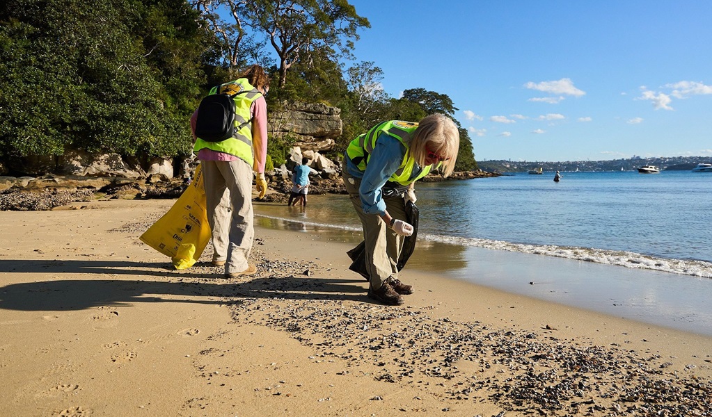 Volunteers work at Collins Flat Beach, Sydney Harbour National Park. Credit: Lachlan Dempsey/DCCEEW &copy; DCCEEW