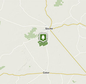 7-day Melbourne to Gundabooka outback tour