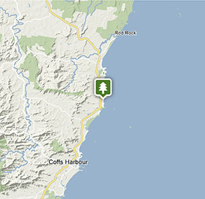 Coffs Harbour bushcare