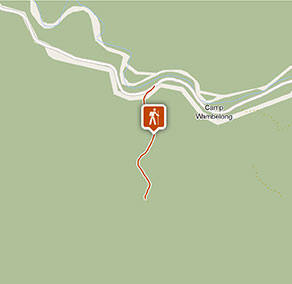 Walk on the wild side at the Warrumbungles