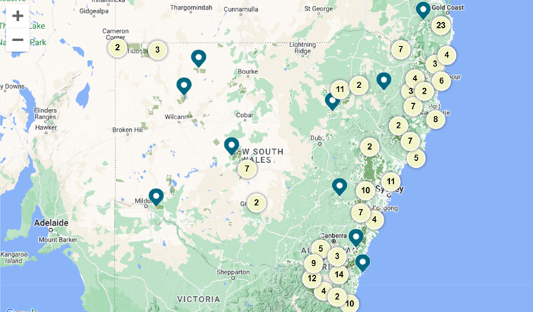 Screenshot image of AIS map. Photo: DCCEEW